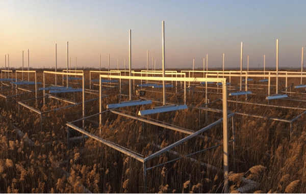 黃河三角洲蘆葦?shù)卦鰷啬M實(shí)驗utf-8