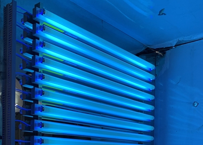 如何通過UV紫外光照實驗箱構建動物皮膚光老化模型？